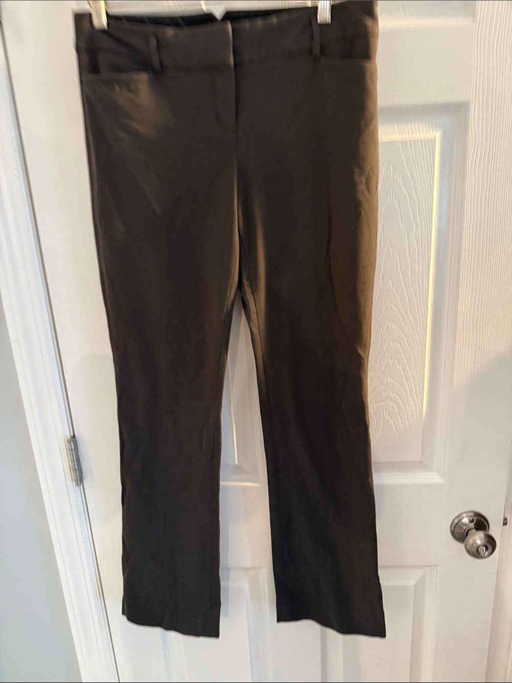 Express Women's Boot Cut Dress Pants in Black